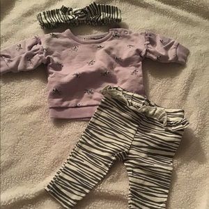 3 piece zebra set